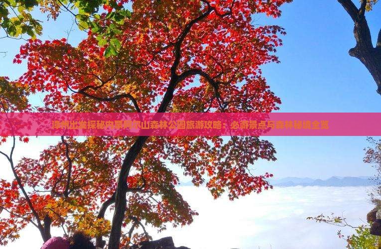 漳州出发探秘内蒙阿尔山森林公园旅游攻略：必游景点与森林秘境全览