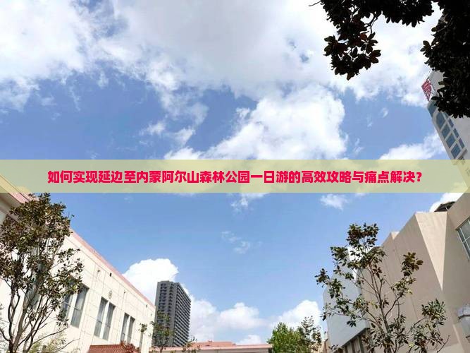 如何实现延边至内蒙阿尔山森林公园一日游的高效攻略与痛点解决？
