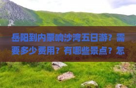 岳阳到内蒙响沙湾五日游？需要多少费用？有哪些景点？怎么安排行程？