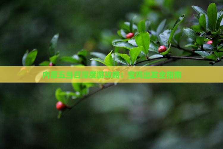 内蒙五当召深度游攻略：宝鸡出发全指南
