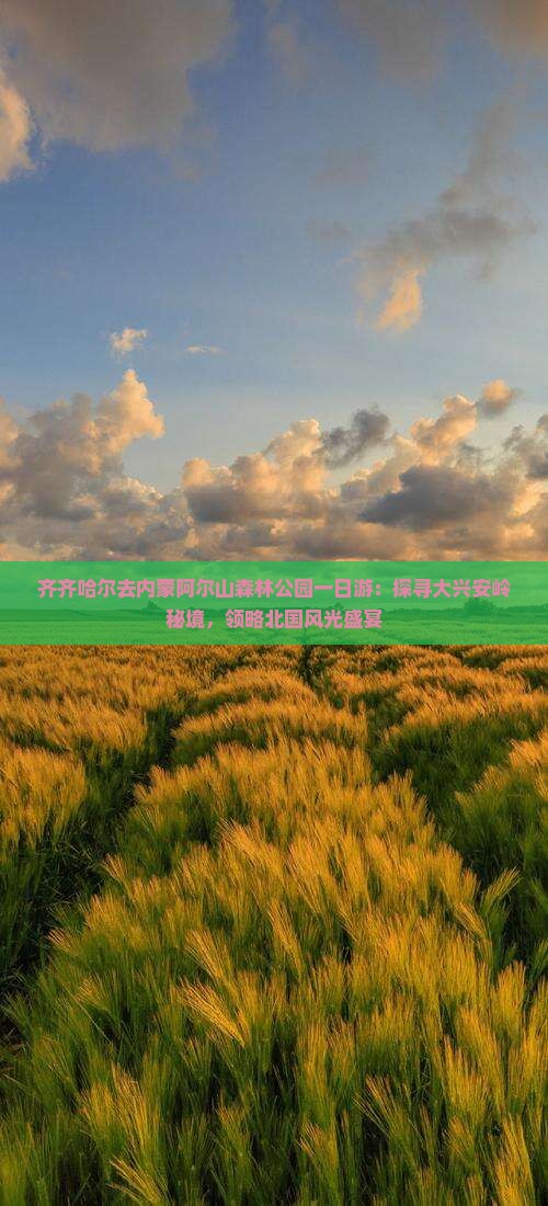 齐齐哈尔去内蒙阿尔山森林公园一日游：探寻大兴安岭秘境，领略北国风光盛宴