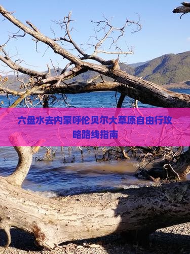 六盘水去内蒙呼伦贝尔大草原自由行攻略路线指南