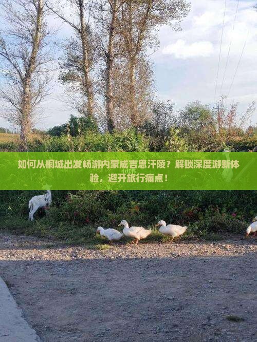 如何从桐城出发畅游内蒙成吉思汗陵？解锁深度游新体验，避开旅行痛点！