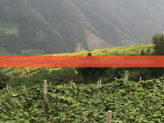 如何解决五家渠游客前往内蒙阿尔山森林公园旅游的交通难题和住宿痛点？