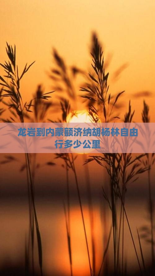 龙岩到内蒙额济纳胡杨林自由行多少公里