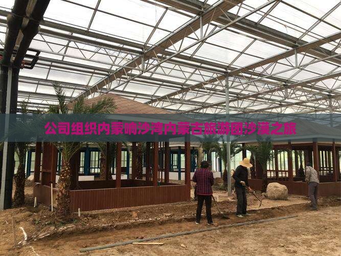 公司组织内蒙响沙湾内蒙古旅游团沙漠之旅