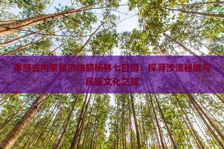 孝感去内蒙额济纳胡杨林七日游：探寻沙漠秘境与民族文化之旅