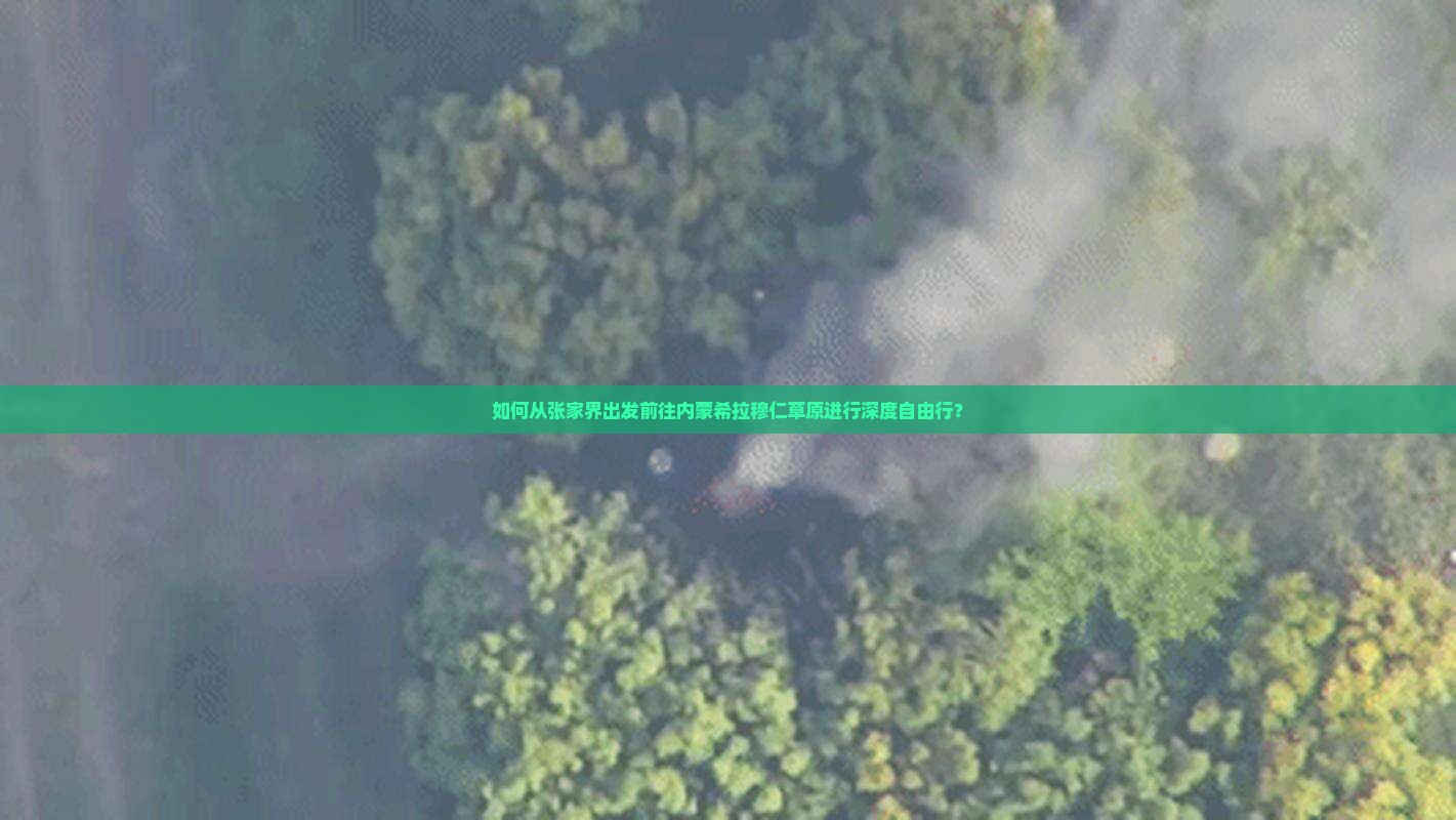 如何从张家界出发前往内蒙希拉穆仁草原进行深度自由行？
