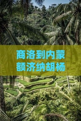 商洛到内蒙额济纳胡杨林旅游攻略及路线推荐