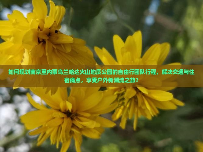 如何规划南京至内蒙乌兰哈达火山地质公园的自由行团队行程，解决交通与住宿痛点，享受户外新潮流之旅？