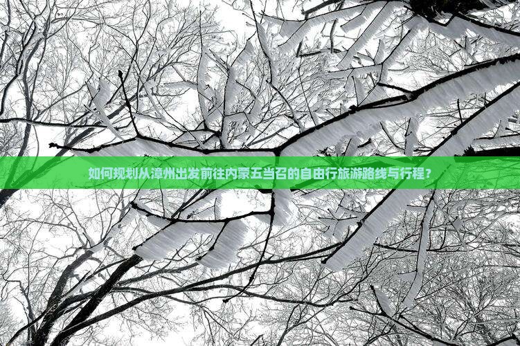 如何规划从漳州出发前往内蒙五当召的自由行旅游路线与行程？