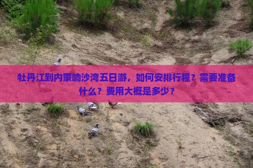 牡丹江到内蒙响沙湾五日游，如何安排行程？需要准备什么？费用大概是多少？