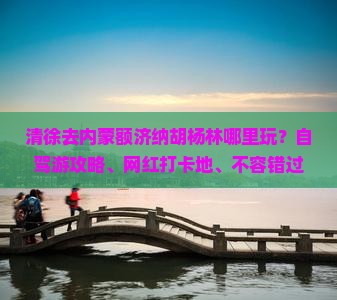 清徐去内蒙额济纳胡杨林哪里玩？自驾游攻略、网红打卡地、不容错过
