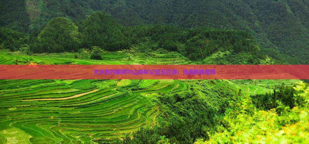 天水到内蒙阿尔山森林公园五日游：经典路线推荐