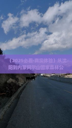 沈阳到内蒙阿尔山国家森林公园二日游