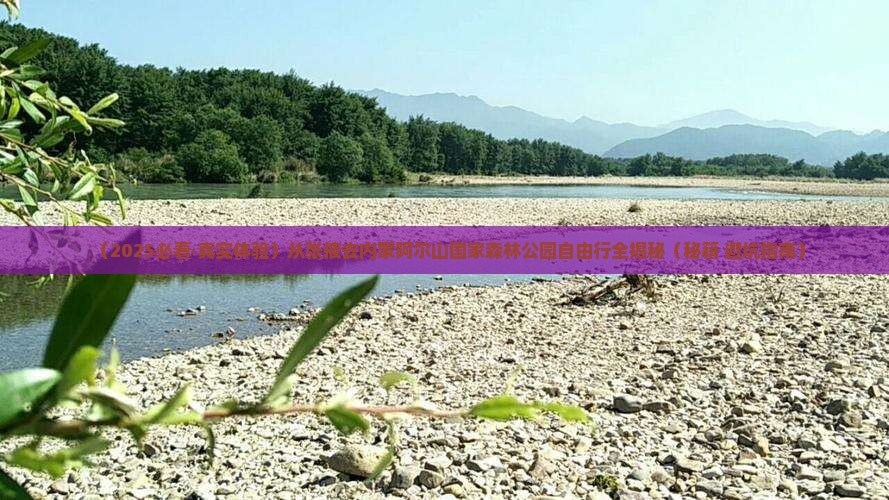 张掖去内蒙阿尔山国家森林公园自由团