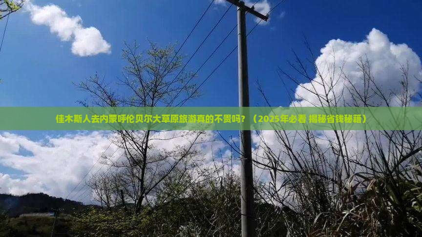 佳木斯去内蒙呼伦贝尔大草原旅游小吃