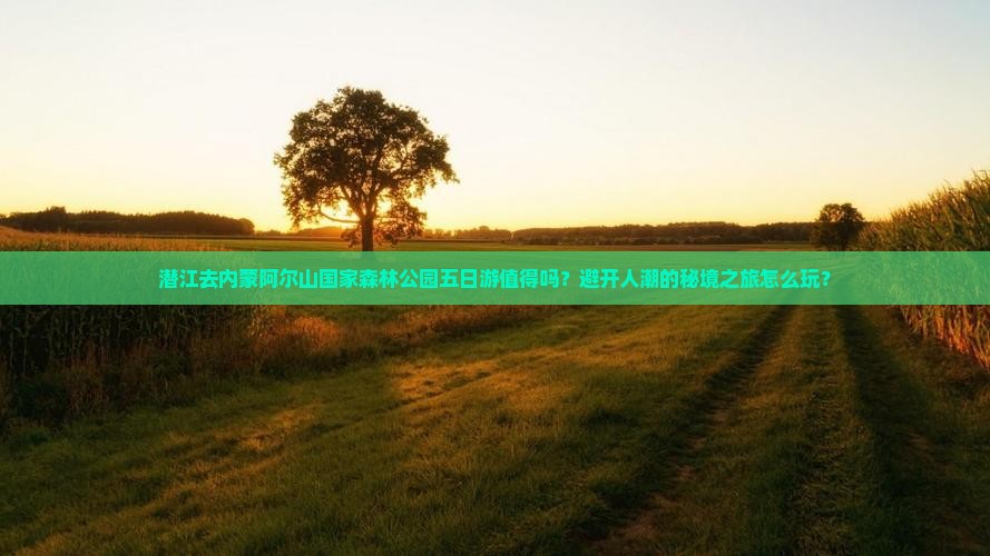 潜江去内蒙阿尔山国家森林公园五日游