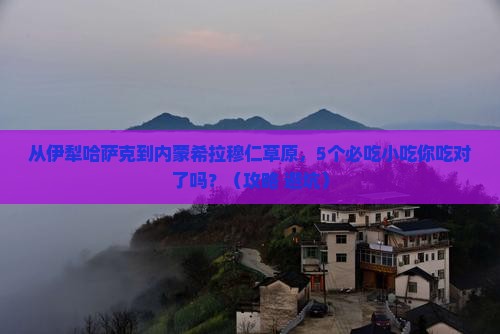 伊犁哈萨克到内蒙希拉穆仁草原旅游小吃