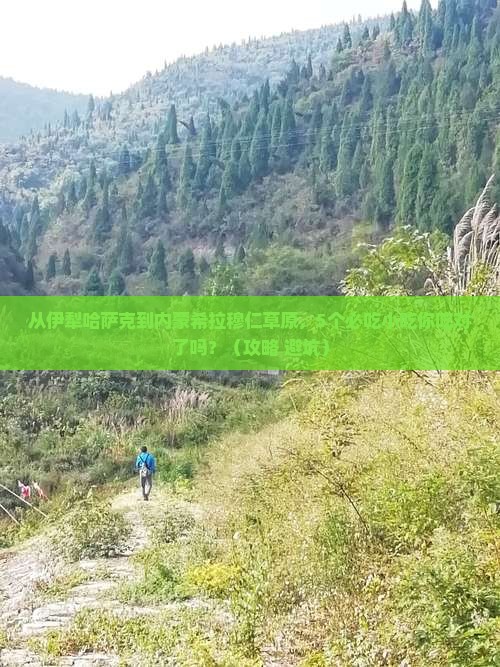 伊犁哈萨克到内蒙希拉穆仁草原旅游小吃