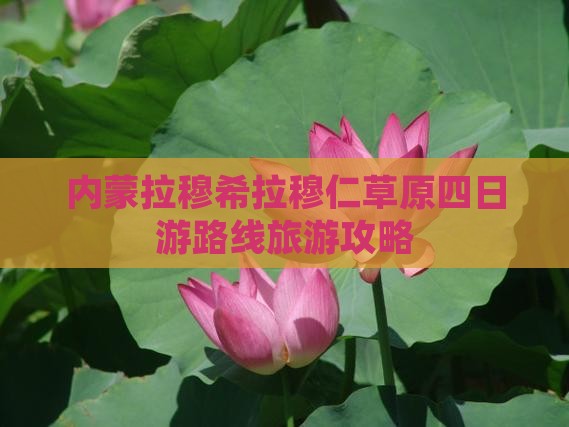 博尔塔拉去内蒙希拉穆仁草原四日游