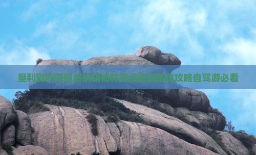 垦利到内蒙额济纳胡杨林景点