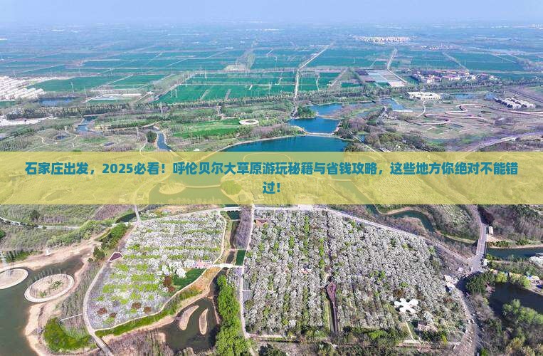 石家庄到内蒙呼伦贝尔大草原哪里玩