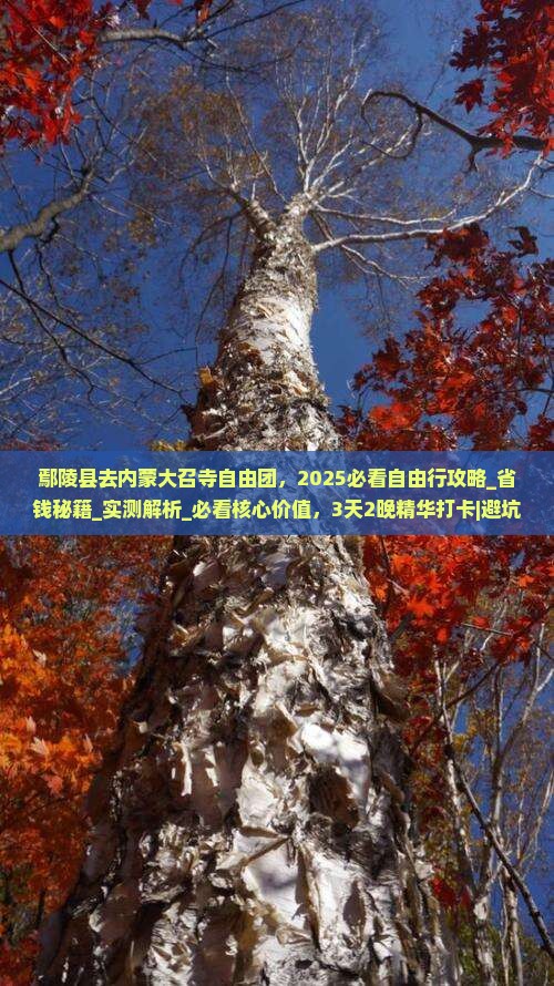 鄢陵县去内蒙大召寺自由团