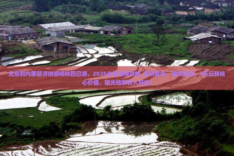 北京到内蒙额济纳胡杨林四日游