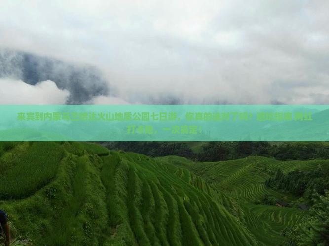 来宾到内蒙乌兰哈达火山地质公园七日游