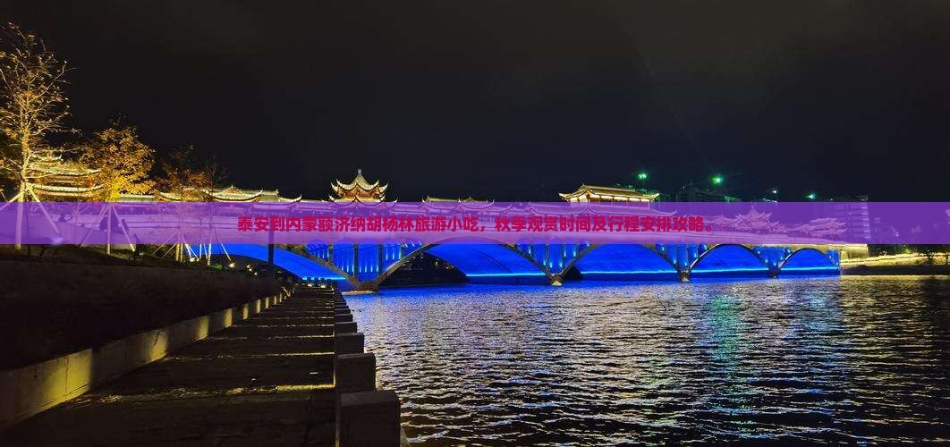泰安到内蒙额济纳胡杨林旅游小吃