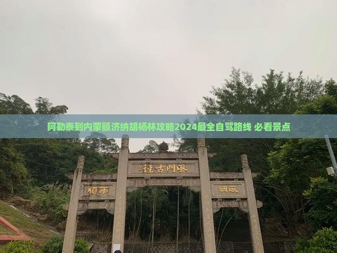 阿勒泰到内蒙额济纳胡杨林攻略