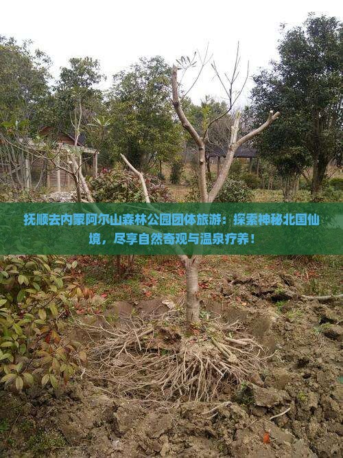 抚顺去内蒙阿尔山国家森林公园团体旅游