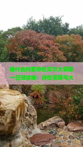 喀什去内蒙呼伦贝尔大草原一日游
