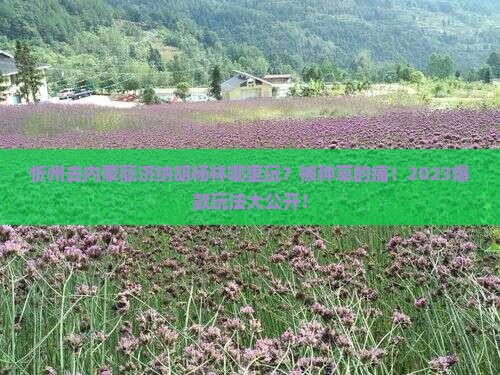 忻州去内蒙额济纳胡杨林哪里玩