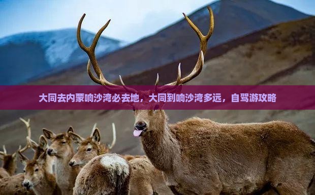大同去内蒙响沙湾必去地