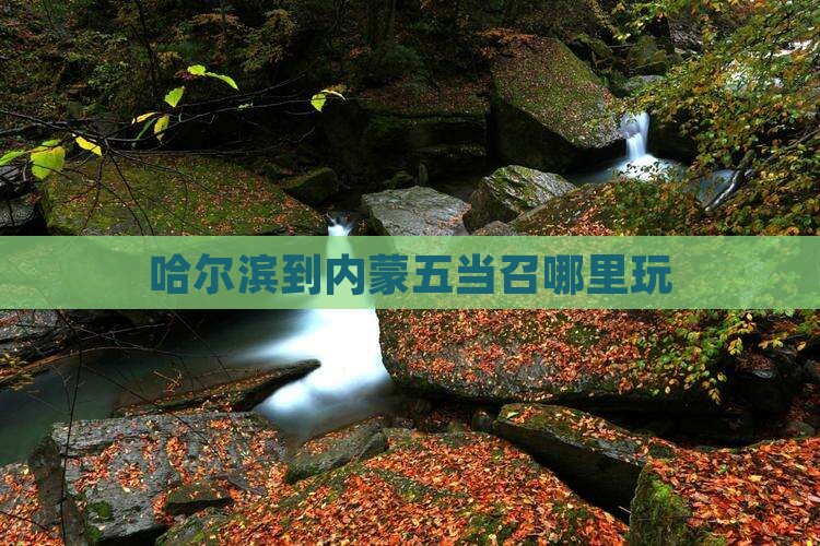 哈尔滨到内蒙五当召哪里玩