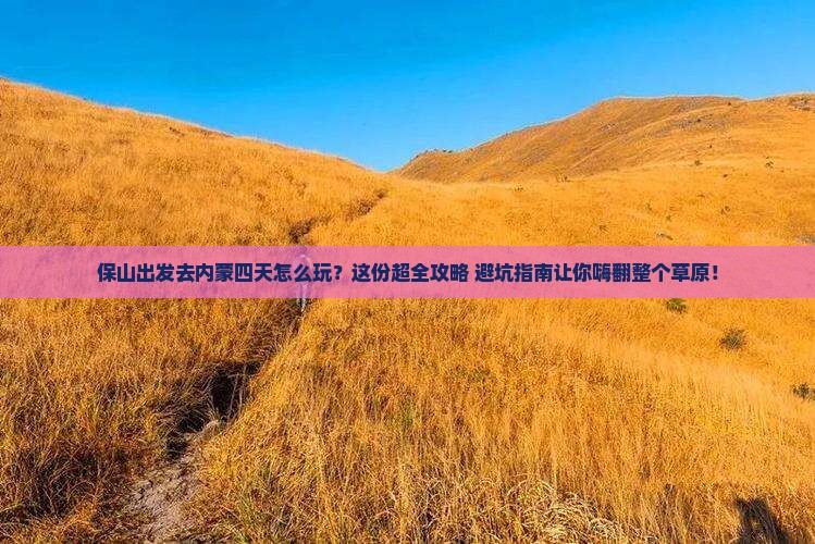 保山去内蒙四日游