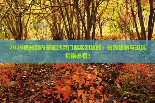 梅州到内蒙响沙湾门票