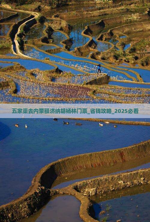 五家渠去内蒙额济纳胡杨林门票