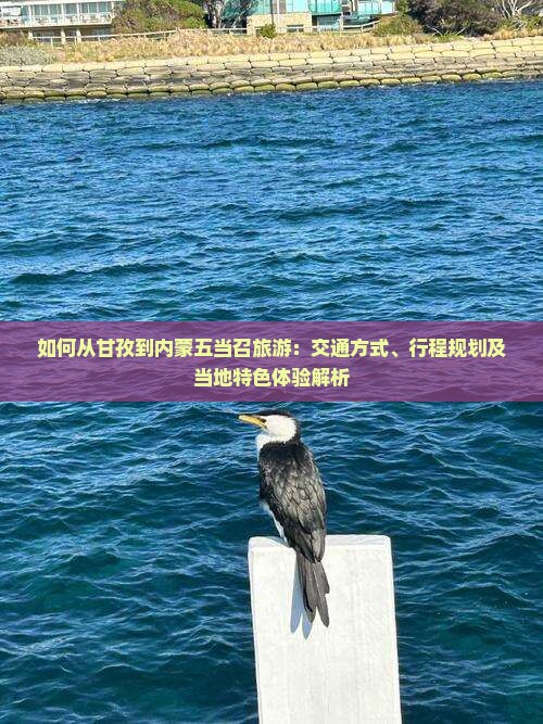 如何从甘孜到内蒙五当召旅游：交通方式、行程规划及当地特色体验解析