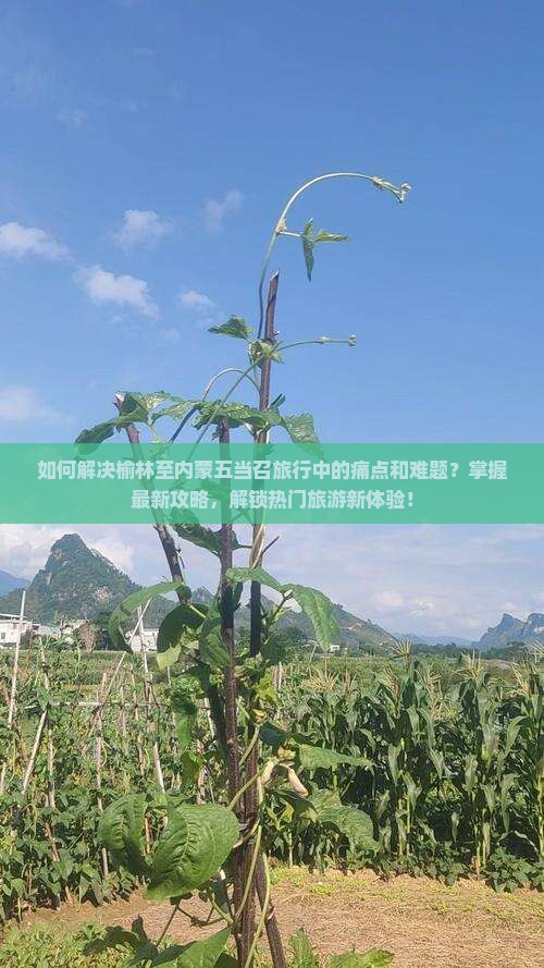 如何解决榆林至内蒙五当召旅行中的痛点和难题？掌握最新攻略，解锁热门旅游新体验！