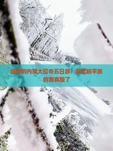 咸阳到内蒙大召寺五日游？西北躺平族的我真酸了