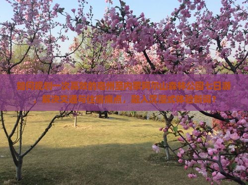 如何规划一次高效的亳州至内蒙阿尔山森林公园七日游，解决交通与住宿痛点，融入沉浸式体验新词？