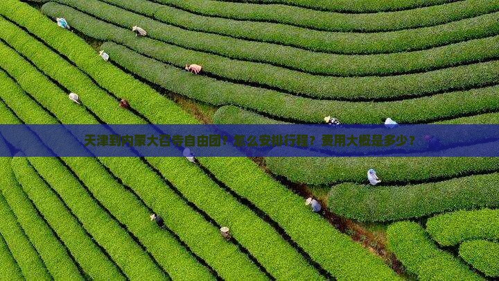 天津到内蒙大召寺自由团？怎么安排行程？费用大概是多少？