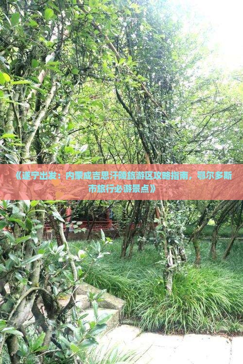 《遂宁出发：内蒙成吉思汗陵旅游区攻略指南，鄂尔多斯市旅行必游景点》