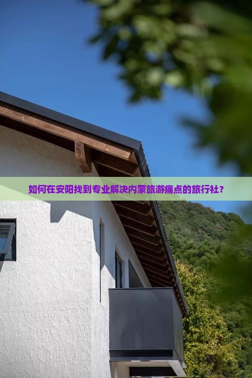 如何在安阳找到专业解决内蒙旅游痛点的旅行社？