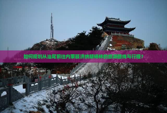 如何规划从汕尾前往内蒙额济纳胡杨林的旅游路线与行程？