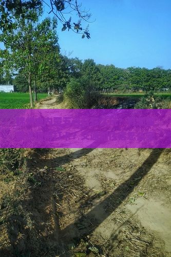 锦州去内蒙五当召怎么玩？有哪些景点值得打卡？交通和住宿怎么安排？