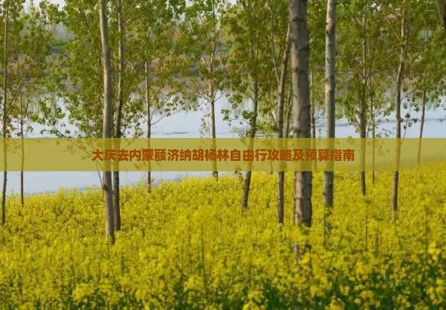 大庆去内蒙额济纳胡杨林自由行攻略及预算指南